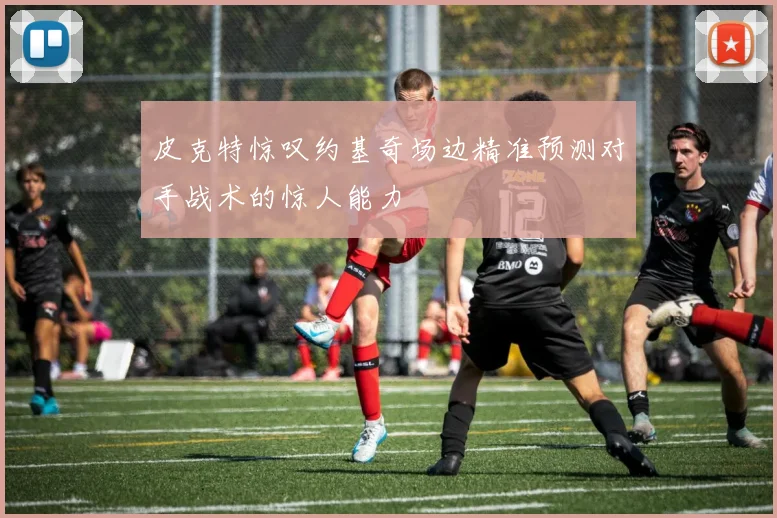 皮克特惊叹约基奇场边精准预测对手战术的惊人能力