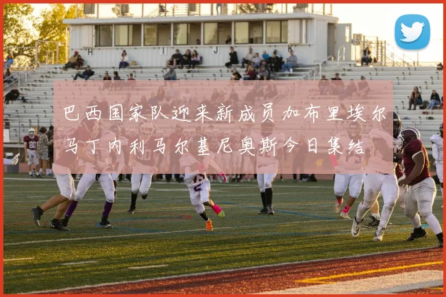 巴西国家队迎来新成员加布里埃尔马丁内利马尔基尼奥斯今日集结