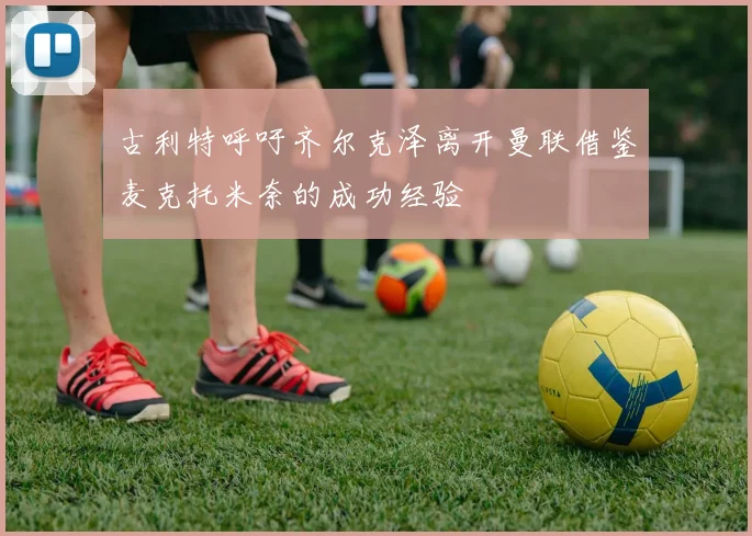 古利特呼吁齐尔克泽离开曼联借鉴麦克托米奈的成功经验